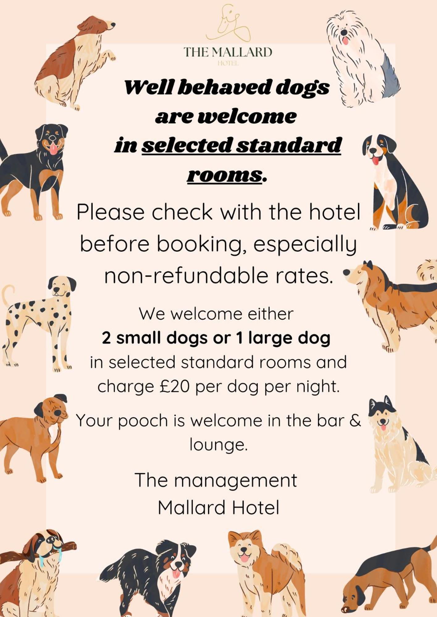 גאליין The Mallard Hotel מראה חיצוני תמונה